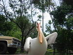 Picture 023.jpg