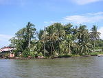 Picture 015.jpg