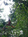 Picture 006.jpg