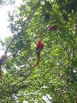 Picture 007.jpg