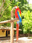 Picture 008.jpg
