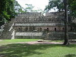 Picture 013.jpg