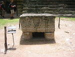 Picture 015.jpg