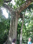 Picture 030.jpg