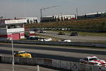IMG_7981.JPG