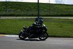 IMG_9230m.jpg