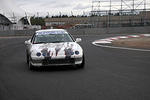 IMG 0872m