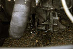 IMG 0987m