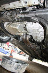 IMG_9529m.jpg