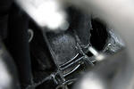 IMG_9581m