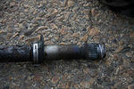 IMG_9583m.jpg